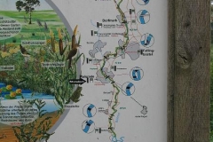 Kanufahrt auf der Böhme