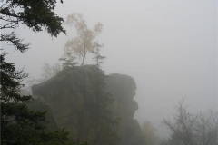 Harz im Oktober 2007