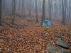 Harz_Herbst07-021