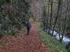 Harz_Herbst07-036