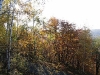 Harz_Herbst07-056