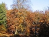 Harz_Herbst07-059