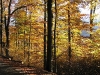 Harz_Herbst07-063