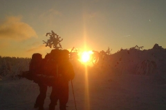 Harz im Dezember 2007