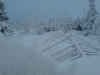 DSC00097