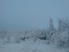 DSC00098