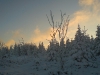 DSC00116