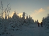 DSC00118