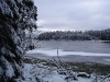 DSC01445