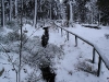 DSC01446
