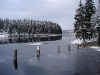 DSC01449