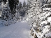 DSC01453
