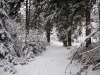 IMGP0732