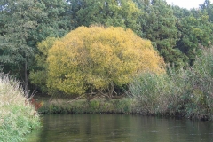 Kanufahrt auf der Ilmenau von Uelzen nach Bad Bevensen