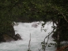 122-IMG_0240