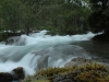 124-IMG_0250