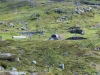134-IMG_0284
