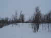 IMG_0111.jpg
