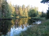 IMG_0249.jpg