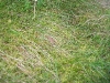 IMG_0250.jpg