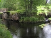 IMG_0254.jpg