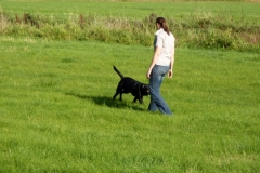 Kanuausflug auf der Ilmenau