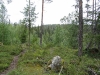 IMG_0059.JPG
