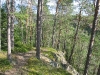 IMG_0084.JPG