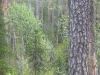 IMG_0123.JPG