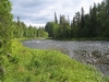 IMG_0135.JPG