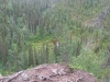 IMG_0140.JPG
