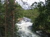 IMG_0146.JPG