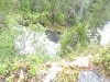 IMG_0155.JPG