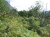 IMG_0175.JPG