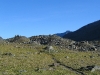 IMG_0458.JPG