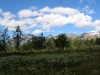 IMG_0494.JPG