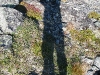 IMG_0586.JPG