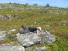 IMG_0598.JPG