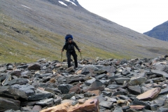 Sarek 2008