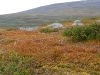 Sarek2008_070.JPG