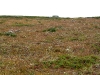 Sarek2008_071.JPG