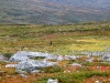 Sarek2008_073.JPG