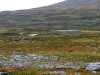 Sarek2008_087.JPG