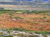 Sarek2008_088.JPG
