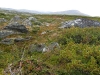 Sarek2008_090.JPG