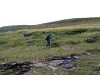 Sarek2008_100.JPG