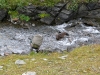 Sarek2008_117.JPG