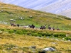 Sarek2008_136.JPG
