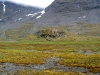 Sarek2008_177.JPG