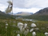 Sarek2008_216.JPG
